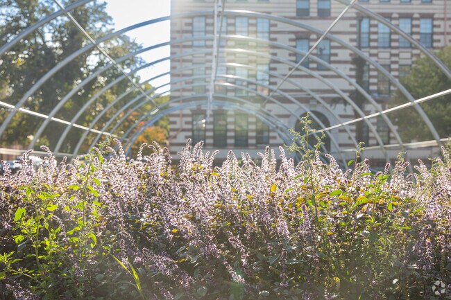 Urban farming thrives at Plantation Park Heights, a hub for local produce and markets.