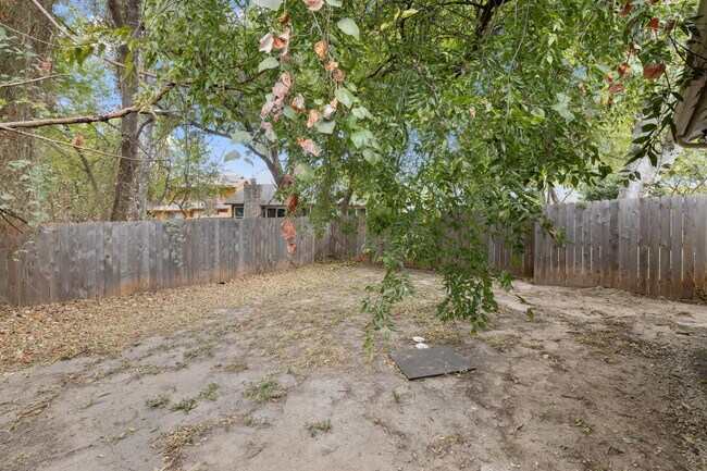 1805 Mearns Meadow Blvd unit B, Austin, TX 78758 - photo 7