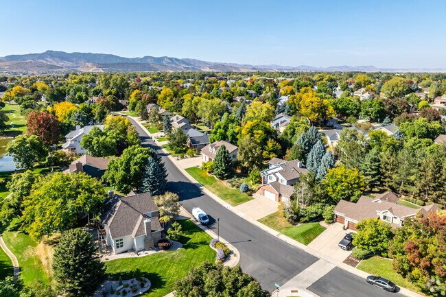 Tall trees make up the landscape of Clarendon Hills.