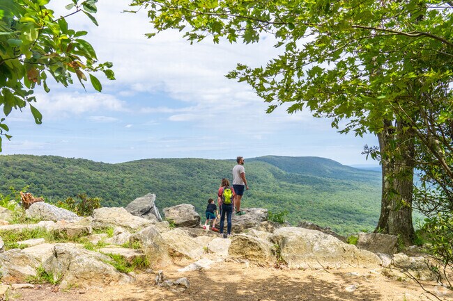 Families enjoy the expansive view from Hawk Mountain Sanctuary.