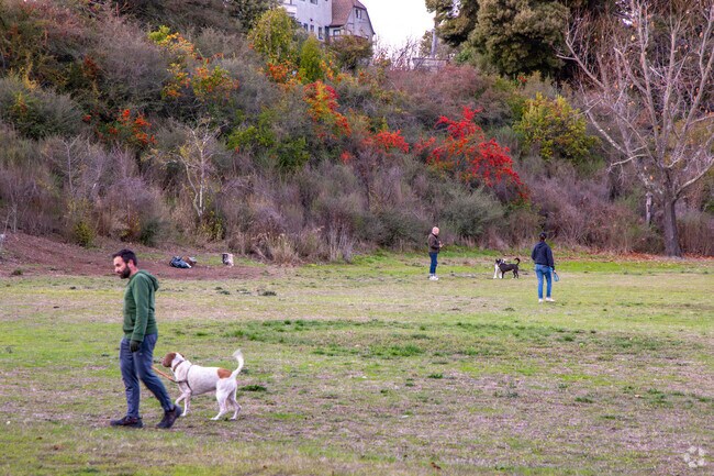 William Wood Park is a well-loved park for dog walking and picnics.