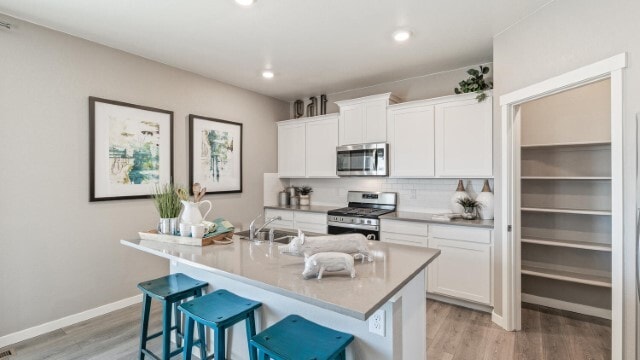 1726 Floating Leaf Dr, Fort Collins, CO 80525 - photo 4