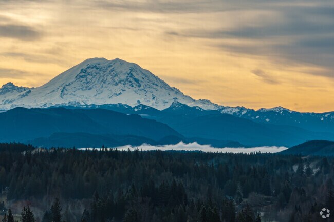 Mt.Rainier peeks over the lush tree's in Hobart.