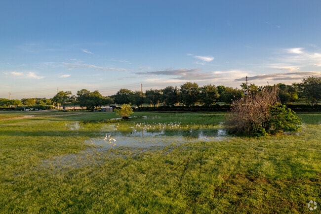 SW Meadows Sanctuary Park is a favorite for birdwatching and tranquil strolls.