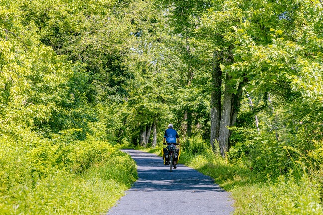 Farmland and forests make up most of Montgomery, so residents can always escape into nature.