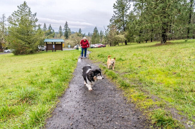 Blanton Ridge Park in Crest Drive has miles of hiking trails to explore.