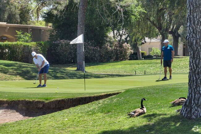 Ocotillo residents have easy access to a 27-hole championship golf course.