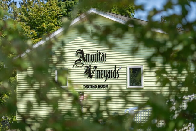 Amorita's Vineyards in Lake Leelanau features seasonal specialties like frosé and mulled cider.