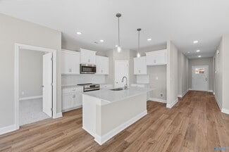 229 Jerrie Lynn Blvd, Meridianville, AL 35759