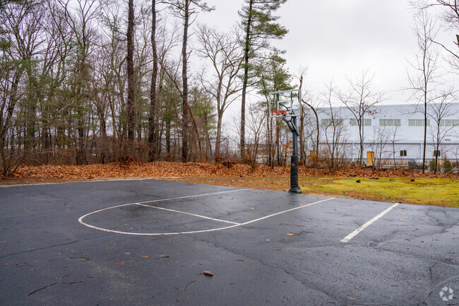 Tremont School in Concord has a 6 to 1 student-teacher ratio.