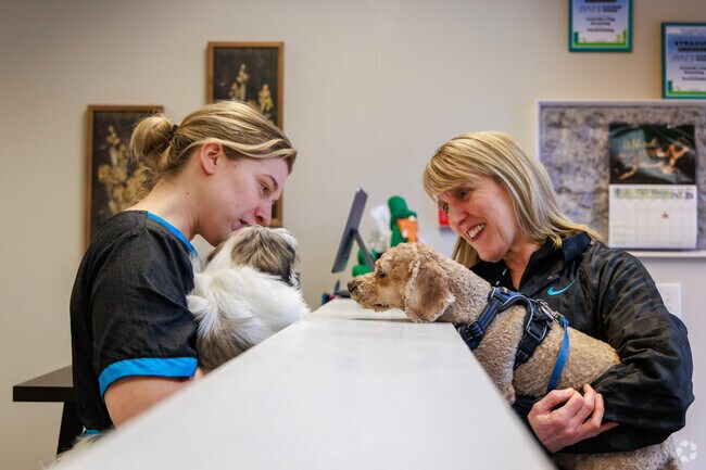 A woman picks up her pup at Amanda’s Dog Grooming, on James Street near Lyncourt.