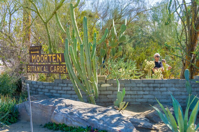 Step into a lush oasis at Moorten Botanical Garden in The Mesa.