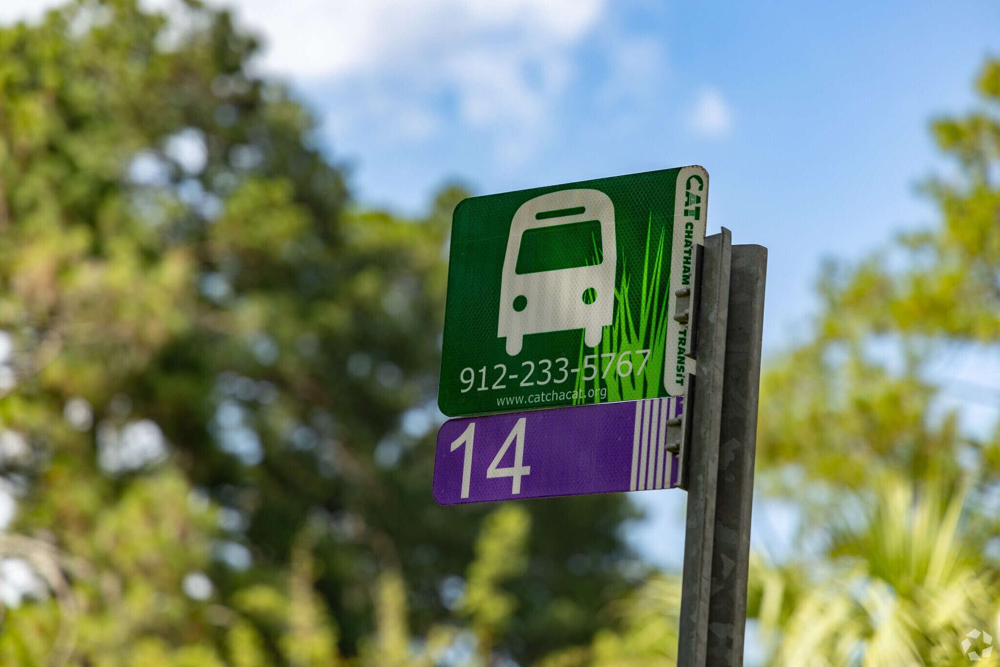 Abercorn Heights-Lamara Heights is served by the Chatham Area Transit System.