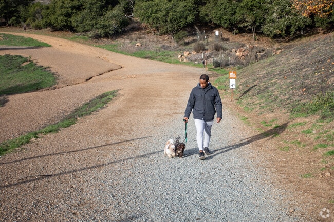 Dogs and their humans love Leona Canyon in Oakland.