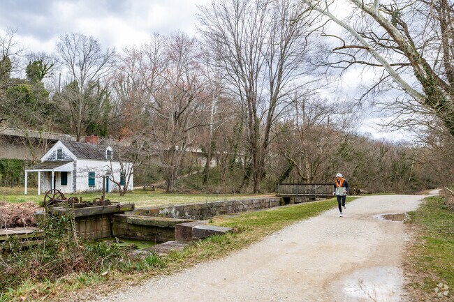 Explore history along the C&O Canal in Glen Echo, a serene escape from city life.