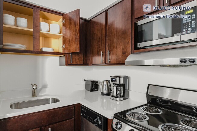 200 E Chestnut St unit FL14-ID1155, Chicago, IL 60611 - photo 5