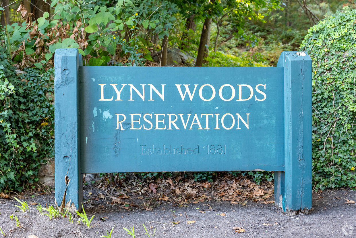 Reserved shops for Lynn