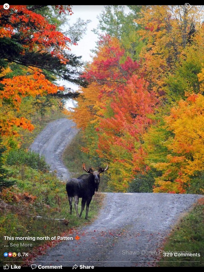 100 acres of wildlife
