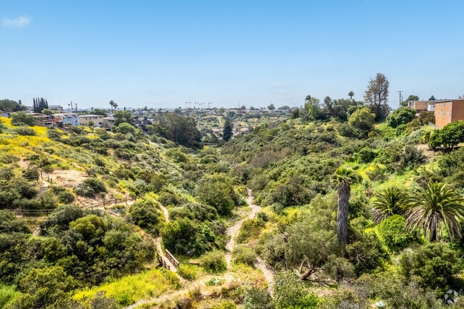An elevated view of the many trails in Swan Canyon.