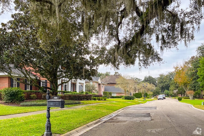 Montclair homes feature meticulously maintained lots adorned with majestic live oaks draped in Spanish moss.