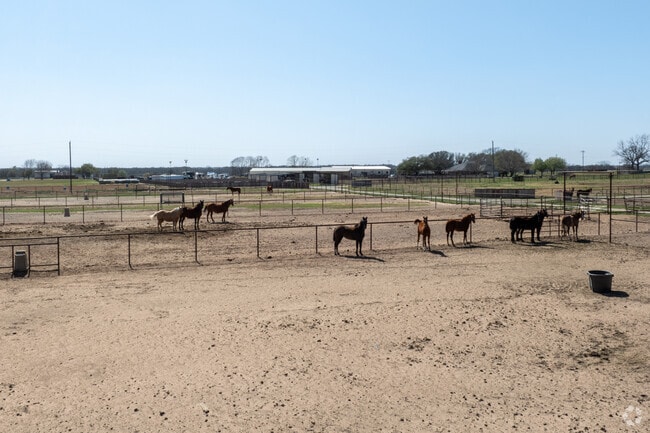 Agriculture thrives in Stephenville, where farms paint the landscape.