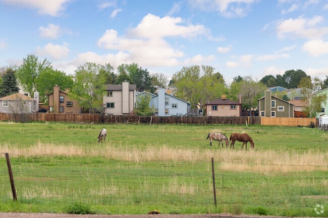 Lamar Heights has a mostly suburban feel, but there are spots that'll transport you to the countryside.