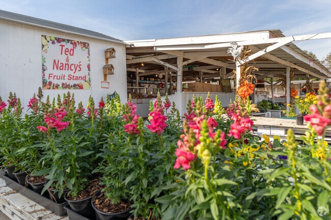 In Prospect, Ted and Nancy's fruit stand with a variety of local products.