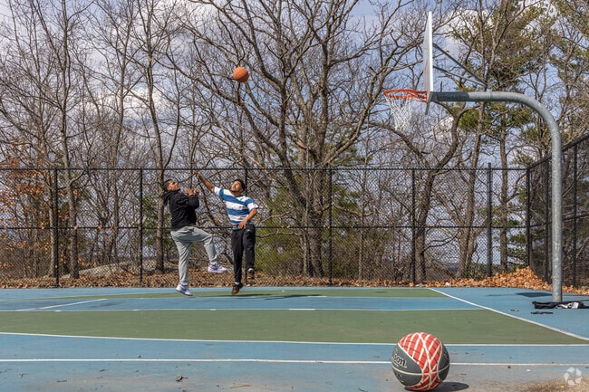Residents of Waitts Mount enjoy a round of basketball.