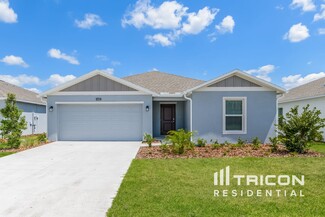 4682 Yellow Elder Way, Kissimmee, FL 34758
