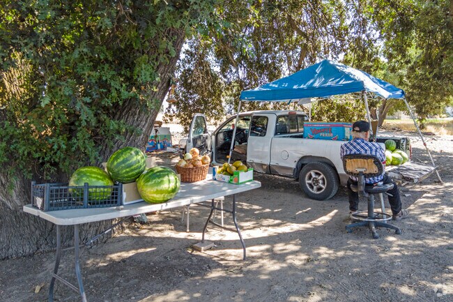 Pick up some farm fresh fruit from a roadside vendor in French Camp.