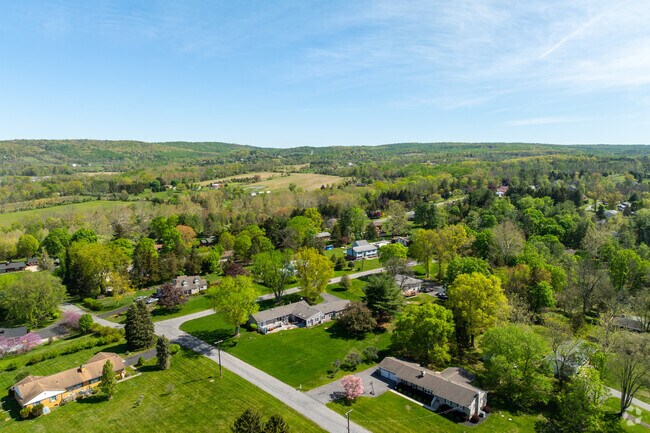 Holland’s rolling hills create stunning views, perfect for those who enjoy nature’s peaceful beauty.