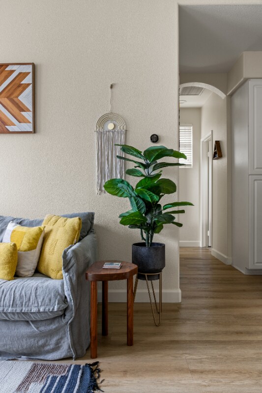 662 Sweet Pea Place, Encinitas, CA 92024 - photo 4