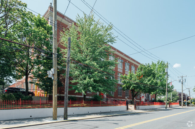 The student population of PS 19 Curtis School is 530.