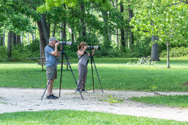 Wildlife photographers love Captain Daniel Wright Woods, a quick drive from Lincolnshire.