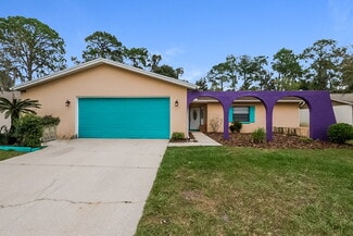 3910 Briarlake Dr, Valrico, FL 33596