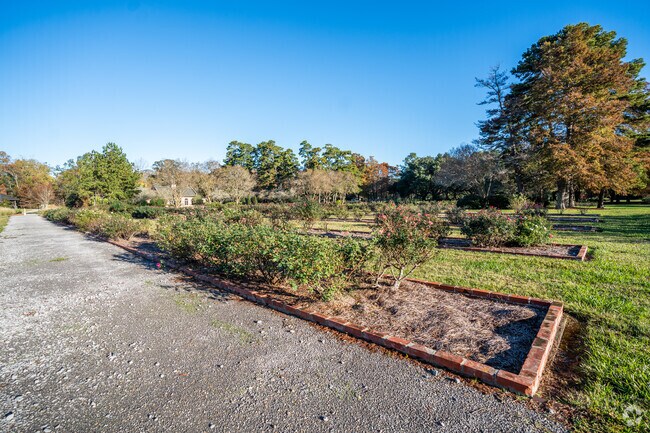 Rows of native plants are grown at the Burden Museum and Gardens in Bocage.