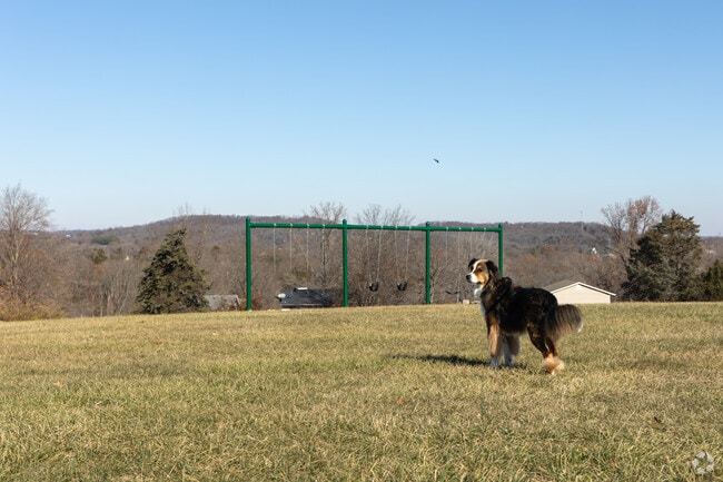 Locals enjoy taking their dogs for an afternoon out at Ron Sanders Memorial Park in Barnhart.