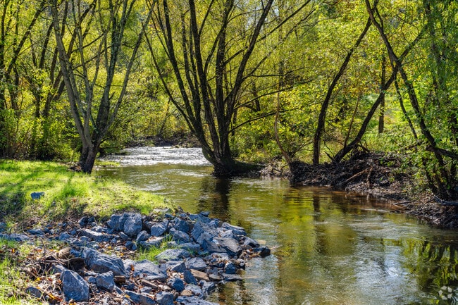 Ducks and geese bathe in Curtin’s quiet valley creeks surrounded by peaceful mountain views.