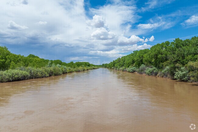 Adelino can be found along the banks of the Rio Grande River.