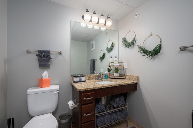 The Oliver, Rochester, MN 55902 - photo 6