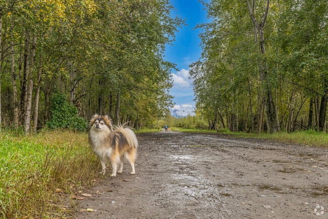 Enjoy the Connors Bog Dog Park conveniently located in the Sand Lake neighborhood.