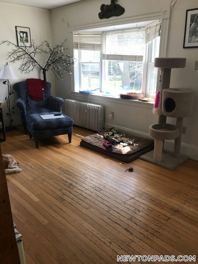 49 Jerome Ave, Newton, MA 02465