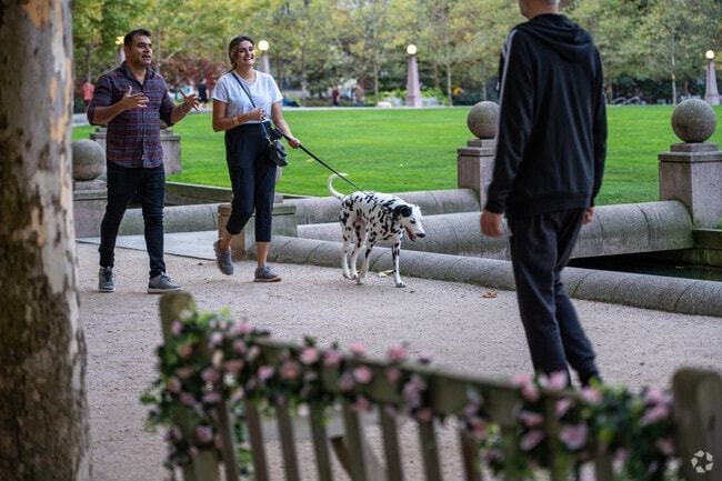 You can take your dog for walk at the Bellevue Downtown Park.
