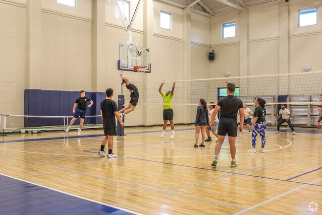 Bees Landing's courts echo with volleyball bounces and friendly trash talk in evening pick-up games.