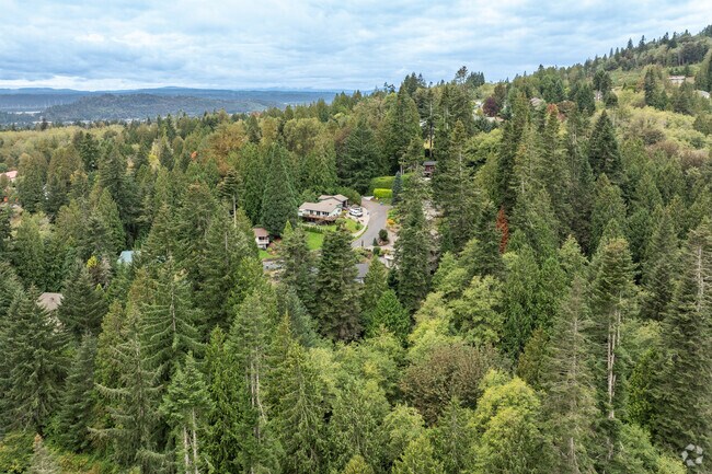 Longview Heights is a heavily wooded neighborhood.