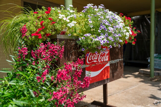 Bennett Nursery offers a wide variety of flowers and fruit plants for nearly any gardening need.