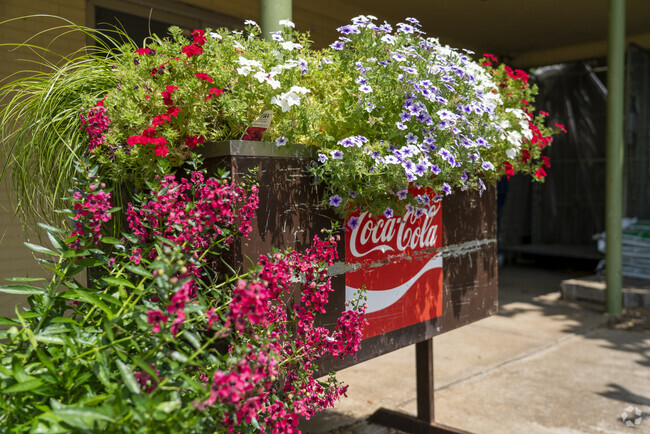 From flowers to fruit plants, Bennett Nursery has a wide variety for nealy any plant need.