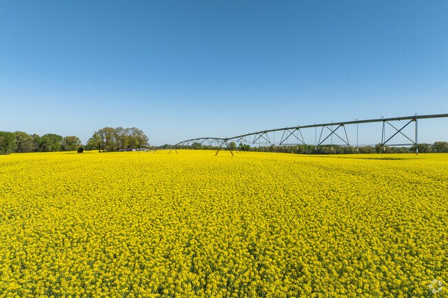 Martin pays homage to the lush farmland that supports the town with its annual Soybean Festival.
