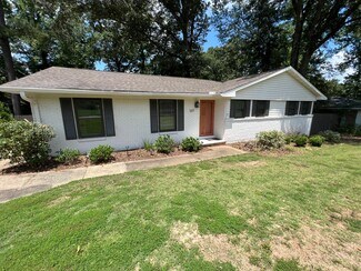 1317 Sycamore Dr, Auburn, AL 36830