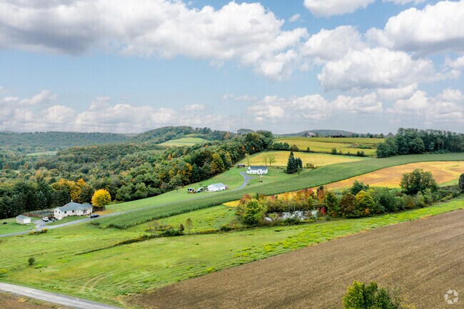 East Carroll has plenty of green spaces and offers great housing in a rural environment.